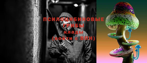 ГАЛЛЮЦИНОГЕННЫЕ ГРИБЫ Аркадак