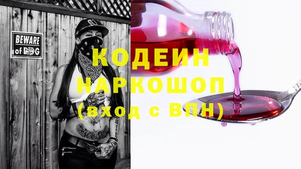 ГАЛЛЮЦИНОГЕННЫЕ ГРИБЫ Аркадак