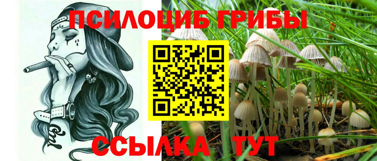 Псилоцибиновые грибы мухоморы  Вход с VPN  Балашиха  Псилоцибиновые грибы GOLDEN TEACHER 